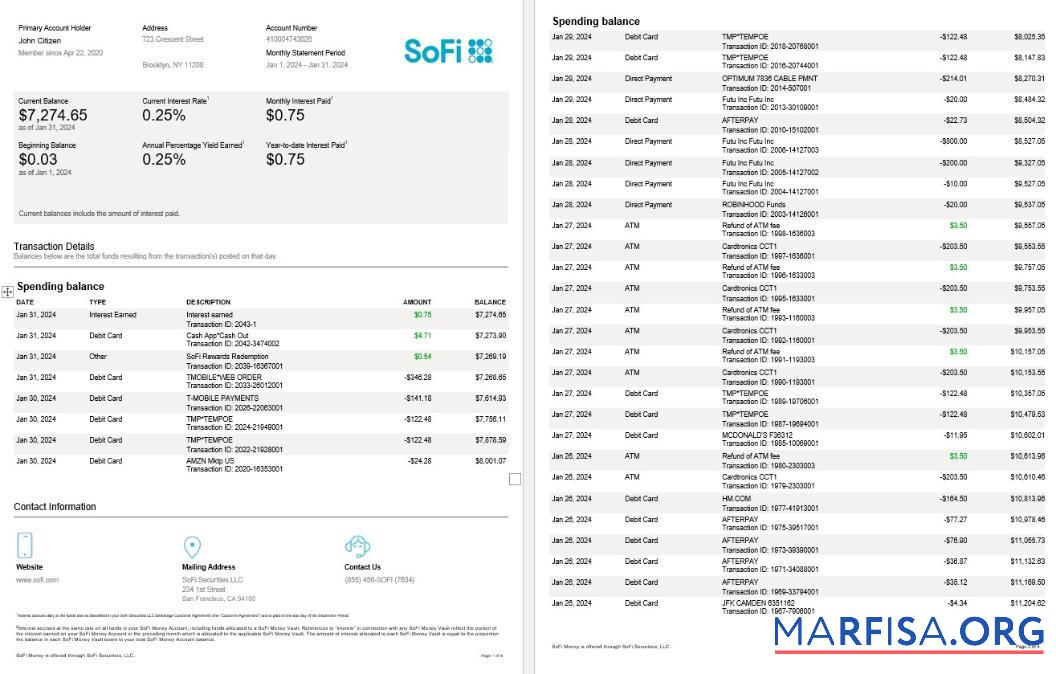 Printable USA Sofi bank statement word 4 pages download for verification